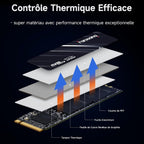 SSD Interne fanxiang 512Go NVMe M.2 2280 PCIe Gen3 x 4 - 3200Mo/s - S501Q